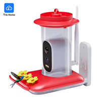 Hummingbird Feeder